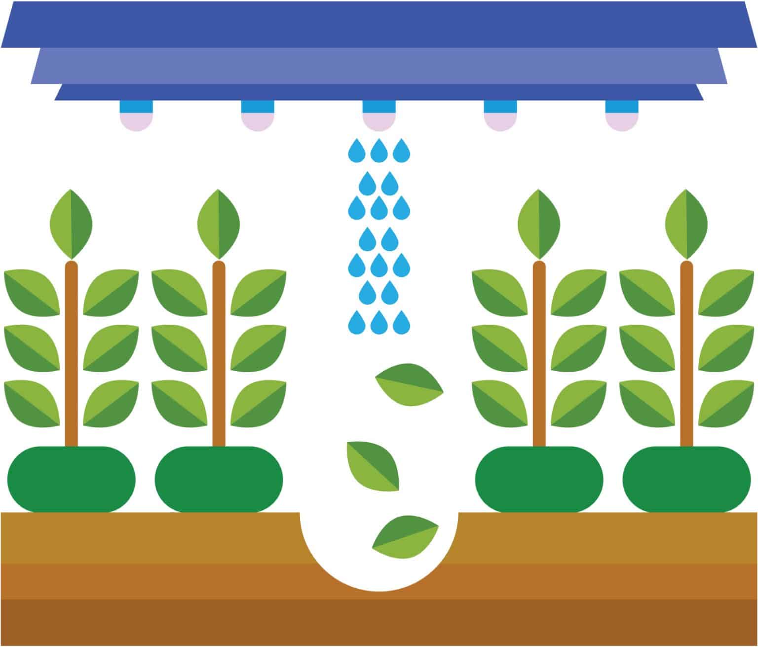 Why Does the Bankruptcy Court Look at My Tax Forms