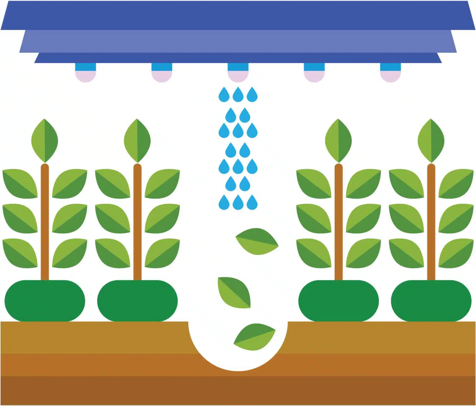 Why Does the Bankruptcy Court Look at My Tax Forms