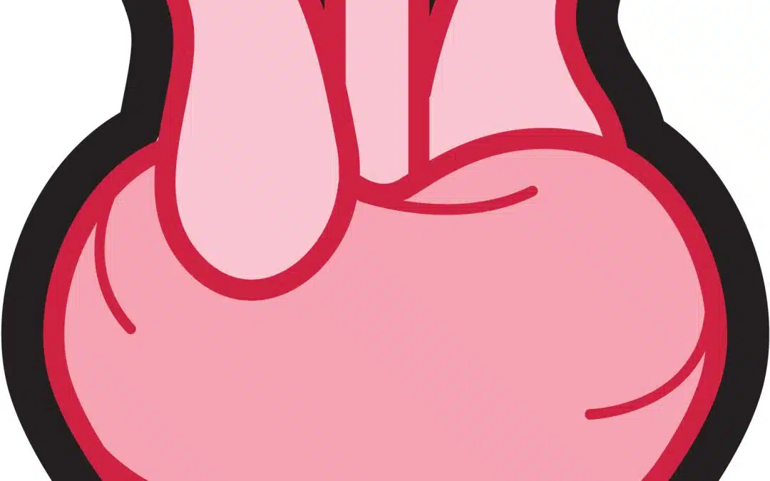 Stress and Your Heart